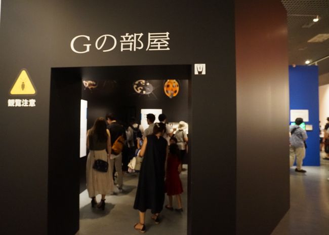 「Gの部屋」閲覧注意！迂回路もあるコーナーなので写真は控えます（笑）