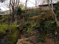 三嶋大社前バス停から、遅れてやって来た13:06発の三島駅行きのバスに乗車。
このバスで三島駅へ戻る予定だったが、途中の案内放送が、楽寿園前と言うバス停を告げた。
ふと窓の外を見ると、緑豊かな公園の入口が。
思わず降車ボタンを押し、またしても途中下車。
入園料を払って入ってみると、なかなかの雰囲気だった。