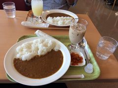 で、なぜか宮崎は空港自体が名物らしく、
ガンジスのカレーが空港で食べられる
（ガンジスは空港のカレーを市内で食べられるように進出したらしい）
空港内の喫茶店で名物カレーを食す。

まあ、カレー的にはこんな感じなんだろうが、
前メルボルンに行ったときに、せっかくだから
飛行機内でカレーを食べておけばよかったなあと思いました。
（カレーくらいは多分食べられた）