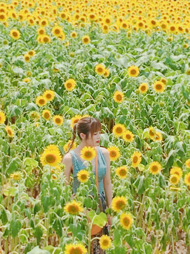 ２０１８年７月 姪っ子の愛車で行くフォトジェニック美浜 フレベールラデュ で桃パフェ 花ひろば でヒマワリ鑑賞 Terrace Noa Noa の絶景カフェ 野間灯台 とサンセット 美浜 愛知県 の旅行記 ブログ By ひとぴちゃんさん フォートラベル