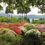 箱根の春2018～山のホテルのつつじ～