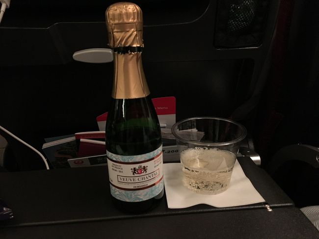 20:40 JL780便にて成田空港を出発。<br />ここでいつもの飛行機のお供、むくみ防止のメディキュットを忘れたことに気づきます。浮かれてましたねぇ～準備中の私・・・<br />しばらくするとドリンクとおかきが配られました。<br />ここぞとばかりにスパークリングワインをチョイス。