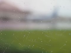 とうちゃーく！！

と思ったその時、飛行機の窓にまさかの雨粒。
まじかーいっ。