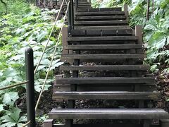 世界遺産地域の入口から、協力金を支払って木道の階段を上って行く。