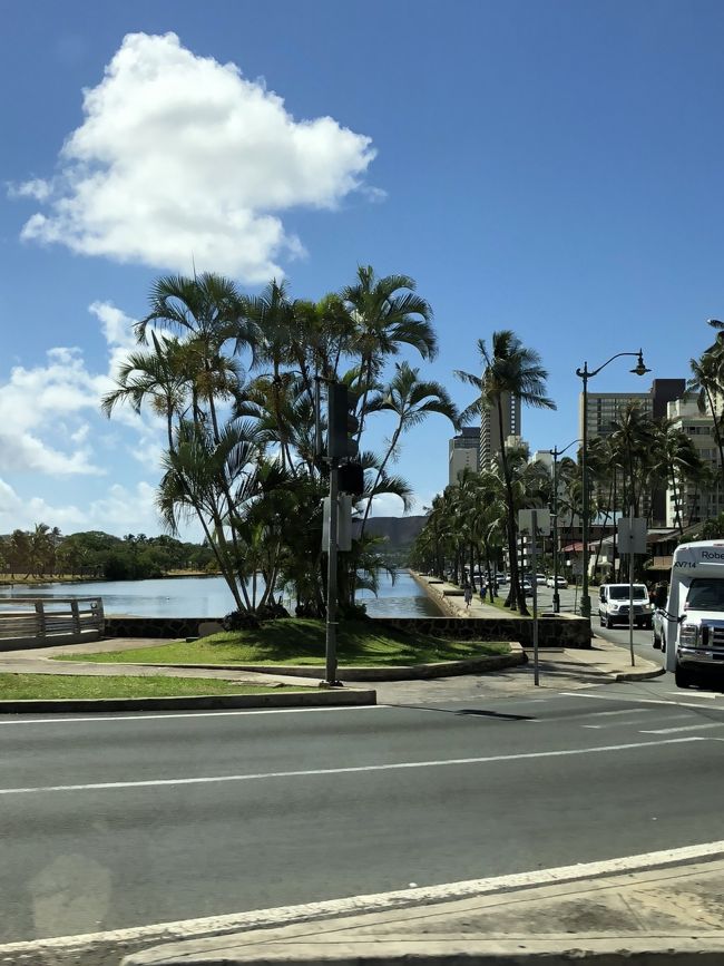 ワイキキのアラワイ運河渡るところ。<br />ここ通ると一気にテンションアップ‼︎<br /><br />ホテルに荷物預けてフロントに確認しに行くと、やはりまだチェックインは出来ないとのことなのでお昼ご飯を食べに行くことに。<br /><br />と、その前に買ったばかりのGo Proをリュックに付けるクリップ的なものが欲しい！と言い出す旦那…。<br />えぇ～、お腹空いてるのに…。