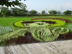 田舎館村 第2田んぼアート