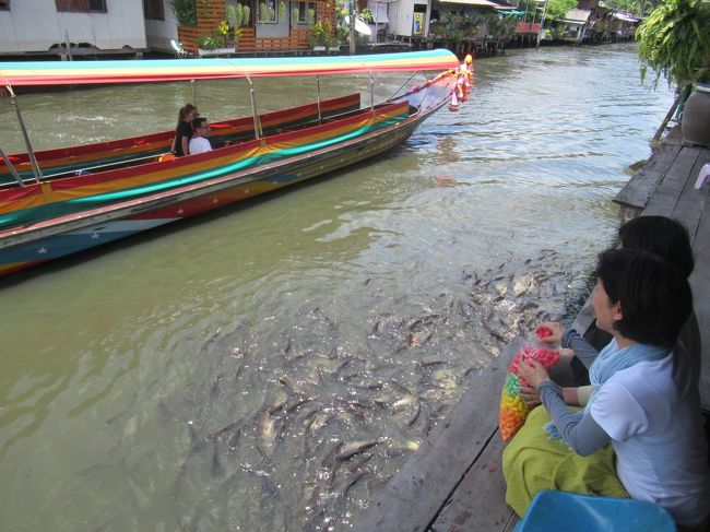 たくさんはいって１０B。<br />うじゃうじゃ集まってきます。<br />私たちがえさをあげているとボートに乗った観光客の人たちが喜んで写真撮ります。<br />