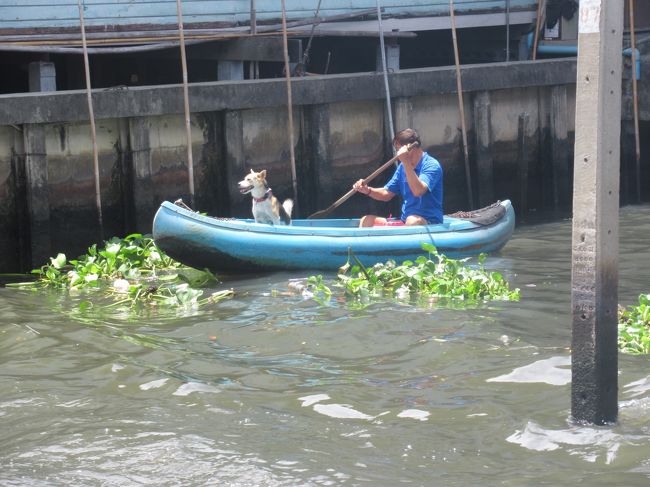 あ、ワンコが乗ってる！