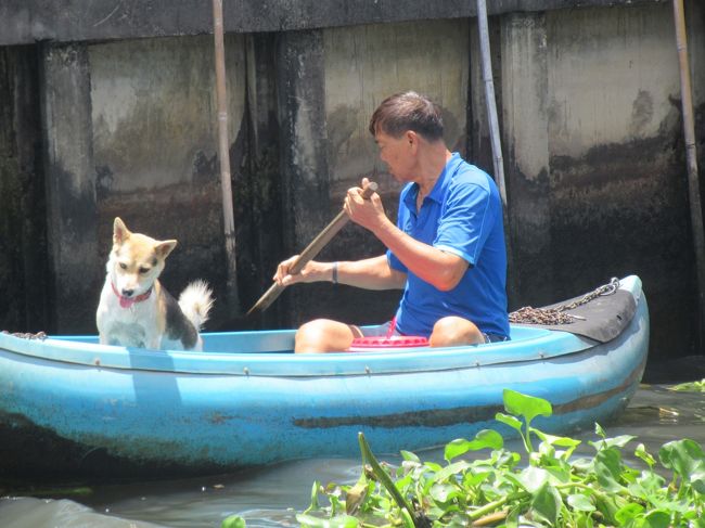 アップにしてみました。かわいい～。我が家のワンコはいい子でお留守番してるかな。