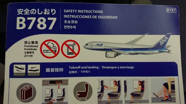 定番の７８７君です