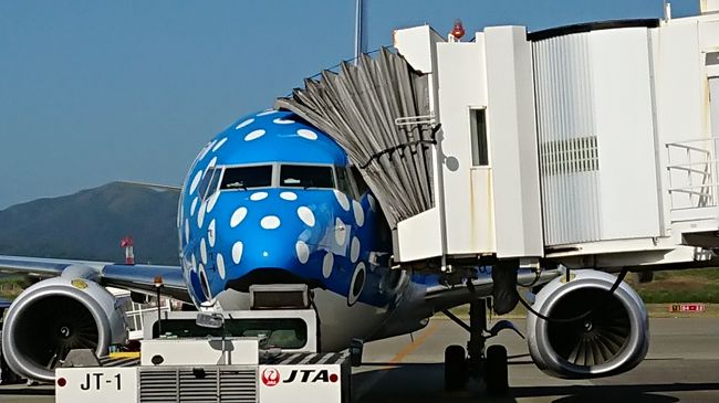 クジラジェット？マリンジェット？