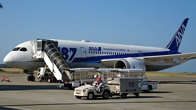 乗ってきた７８７君