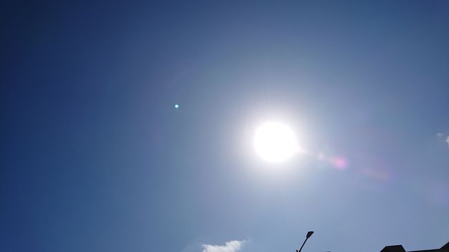 日差しが違いますね~