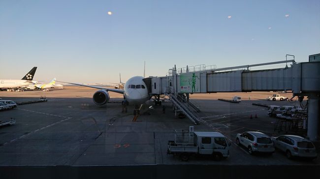 あーっという間に羽田に到着！<br />準備体操にもなりませんでしたね・・・。