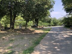 上田城跡公園に入りました。
通常とは逆ルートだったみたい。