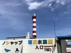 近くには『ノシャップ寒流水族館』と『稚内灯台』があります。
稚内灯台は日本で2番目の高さなんですって。