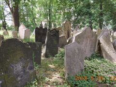 　ビンカスシナゴーグの裏は旧ユダヤ人墓地になっていました。古い墓石が折り重なって支えあって建っていて、その数１２０００基だそうです。