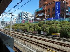 JR駒込駅。ツツジで有名な駅です。発車を知らせるメロディーは｢さくらさくら｣です、染井吉野発祥の地が近いので。
山手線だけが停車します