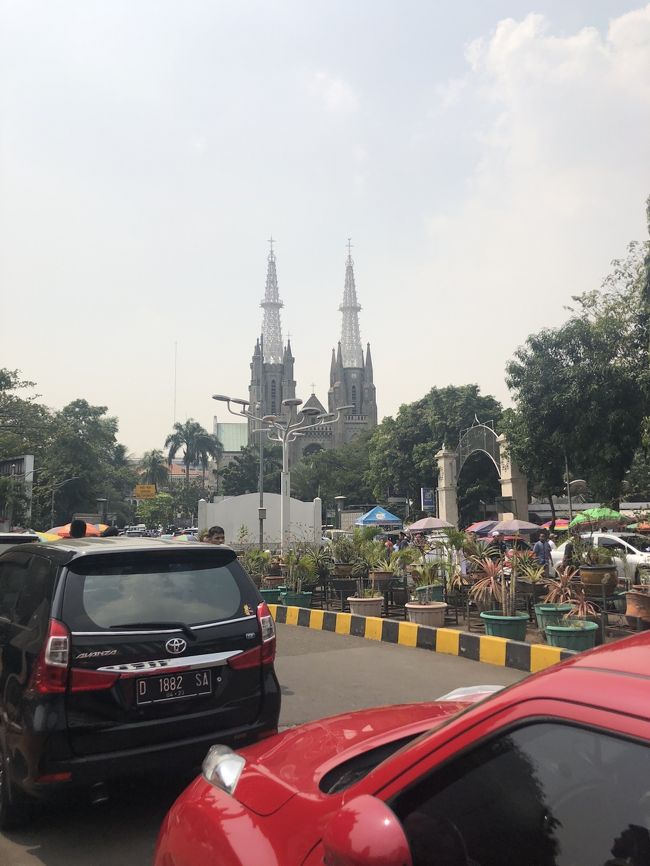 そうそう<br />モスクの向かいには　カテドラル