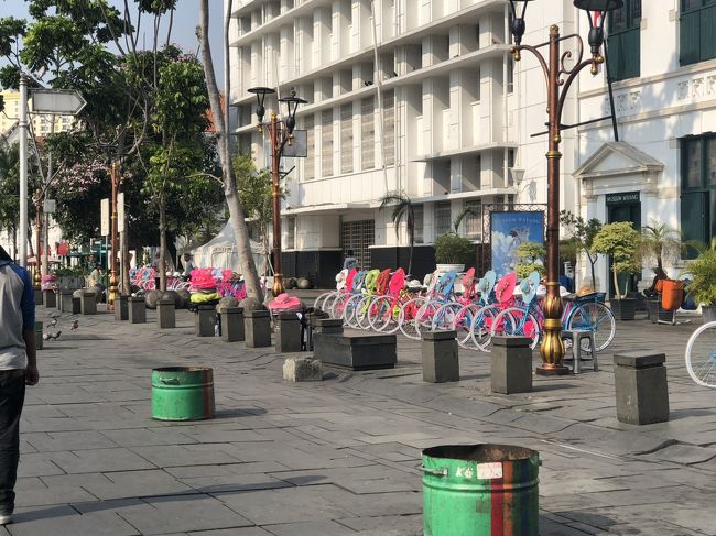 あれに見えるは<br />旅行記に　必ず登場する　カラフルレンタル自転車