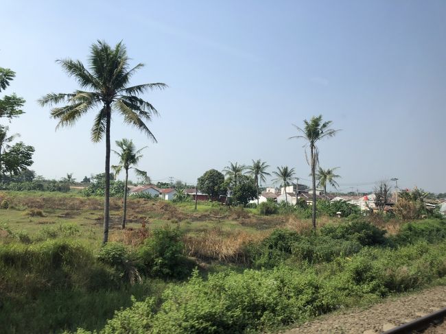 のどかな風景になっていく