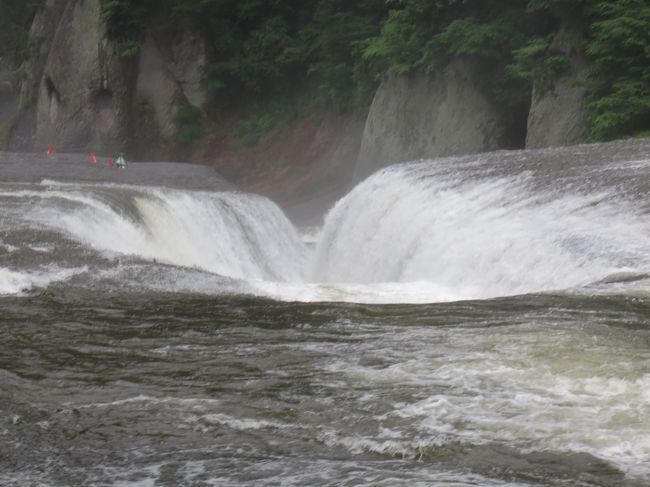 増水して川の水も濁っていましたが・・・
