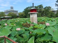 白山公園