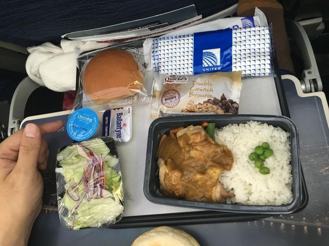 機内食その2。<br />カレーかな？