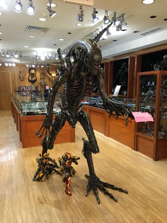 エイリアンいたー！