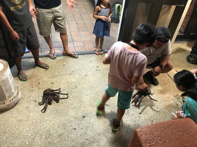 ヤシガニ！<br /><br />子供のアロハや貝細工などが露店で並びます。お土産物もたくさんありましたよ。<br />人も多くてなかなかゆっくり見られなかったので今度はまたゆっくり見に行きたいです。