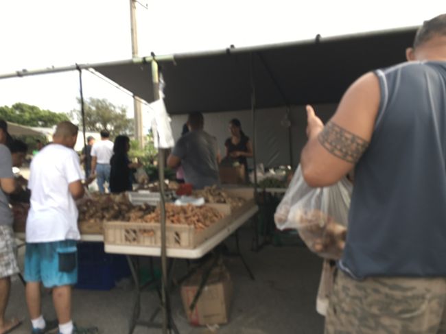 お芋かな？<br /><br />Tシャツ3枚10ドルとかのお店もあってお土産に良さそうでした。