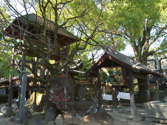 『第51番札所 熊野山 虚空蔵院 石手寺』
1時間ほどで石手寺到着です。
小さな山門の横に櫓が組んであったりで、かなり変わったお寺ですね。

こちらは今回注目のお寺で、色々見どころたくさんのお寺なんです。
わりと早い時間なのでゆっくりできますね。