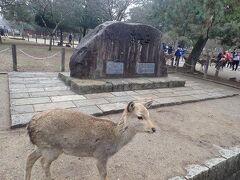 東大寺へ