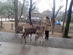 奈良公園でバスを降ります。