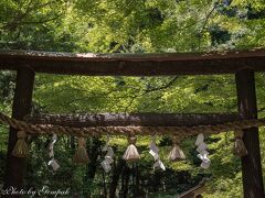 　野宮神社に来た。樹皮がついたままのクヌギの原木を用いた鳥居が特徴の神社で、元々は天皇の代理として未婚の皇族女性が、伊勢神宮に仕える斎王に選ばれたときに身を清める場所であった。主祭神は野宮大神だが、その実体（？）は伊勢神宮と同じく天照大神である。