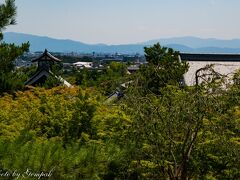 　天龍寺。臨済宗天龍寺派総本山である。足利尊氏により夢窓疎石国師を開山として創建された。平安時代にさかのぼる社寺が多い中で、比較的新しい寺と言える。度重なる火災で焼失し、そのたびに再建されたが、幕末の蛤御門の変で、長州の尊王攘夷過激派が、ここを拠点としたため、会津・薩摩連合軍に焼き払われてしまった。現在の建物は、明治9年に再建された。
　北門から入り、まず望京の丘に続く歩道を歩く。