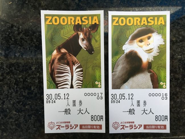 よこはま動物園ズーラシア 入園券とグッズお引換券 大きく