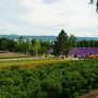 涼しくて美景の北海道旅行　道東＆道央へ　3/4