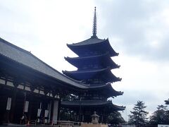 興福寺五重塔（国宝）

奈良時代建立。焼失再建を繰り返し、現存の塔は室町時代建造。高さ５０．１ｍは京都の東寺についで国内第二位。