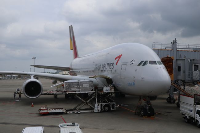 初！エアバスA380。これに乗りたかった。