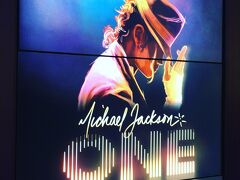 夜はMandalay Bay Resort&Casinoでマイケルジャクソンの「ONE」。

KAとはまた違うシルク・ド・ソレイユで面白かったです！
マイケルのライブに行ったような気分に浸れます。