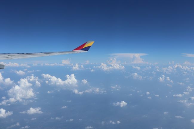 帰りはA330-300。最後尾の機窓から。綺麗な空。