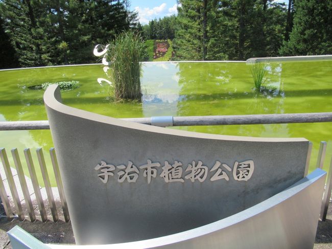 宇治市植物公園と 宇治散策 宇治 京都 の旅行記 ブログ By わんだふるさん フォートラベル