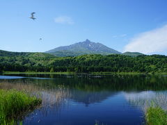 オタトマリ沼