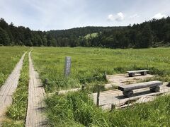 大江湿原ど真ん中のベンチ。
ここから小渕沢田代方面を経てビジターセンターへと戻る周回コースを取りたかったのですが時間的に微妙。かっ飛ばせばなんとかなるけど、せっかくなのでゆっくり歩きたい。
ナデッ窪ルートがあれだけ早いとわかっていれば、それ用に時間を作れたのに…