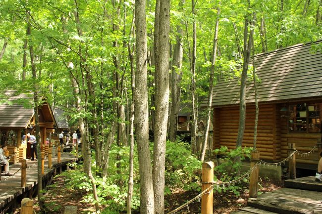 ホテルの施設、ニングルテラスです。昼間回るのは久しぶり？