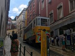 グロリア線のケーブルカー！！
本当にケーブルカー！！
本当にアートされてる！！

行き過ぎたのでロシオ駅の
あたりまで戻り、観光案内所で
リスボンカード（24時間/19ユーロ）を
買います。

かわいいお姉さんに珍しそうに
「あなた一人なの！？ヨーロッパ好きなの！？私はひとりなんて無理！！」
と言われましたｗ
確かにそもそも東洋人少なくて、
西洋人のツーリストばっかりだった
イメージです、ポルトガル。