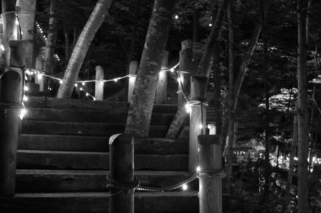 ディナーの後は腹ごなししながら、夜のニングルテラスを撮りに行きます。今年は父のカメラを使いこなすためにも、それを持参。まだまだ使いこなすには練習が必要で、苦労します。