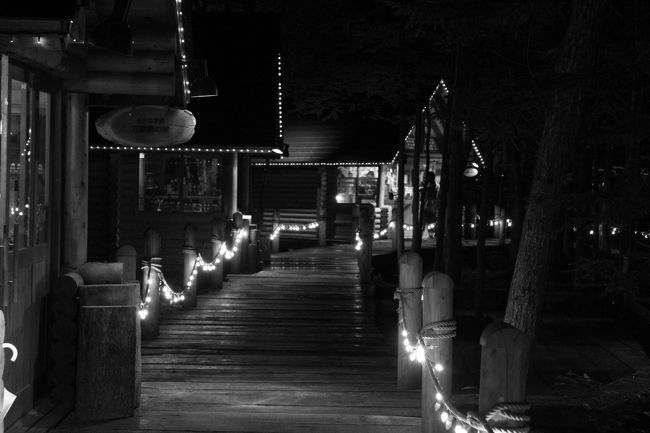 このカメラはセピアモードはないので、モノクロで撮ってみました。