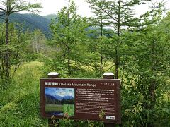 再び分岐点に戻ってきて、穂高連峰を望みます。